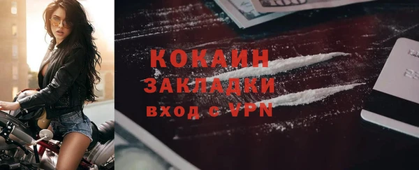 ешки Аркадак