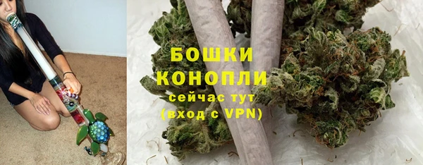 ешки Аркадак