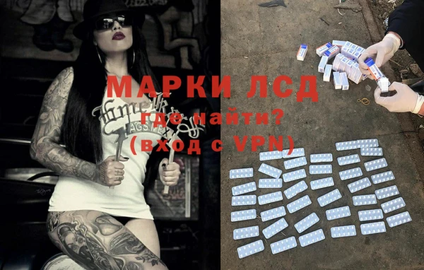 ешки Аркадак
