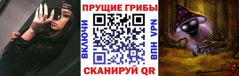 Галлюциногенные грибы Psilocybe  наркота  Салехард 